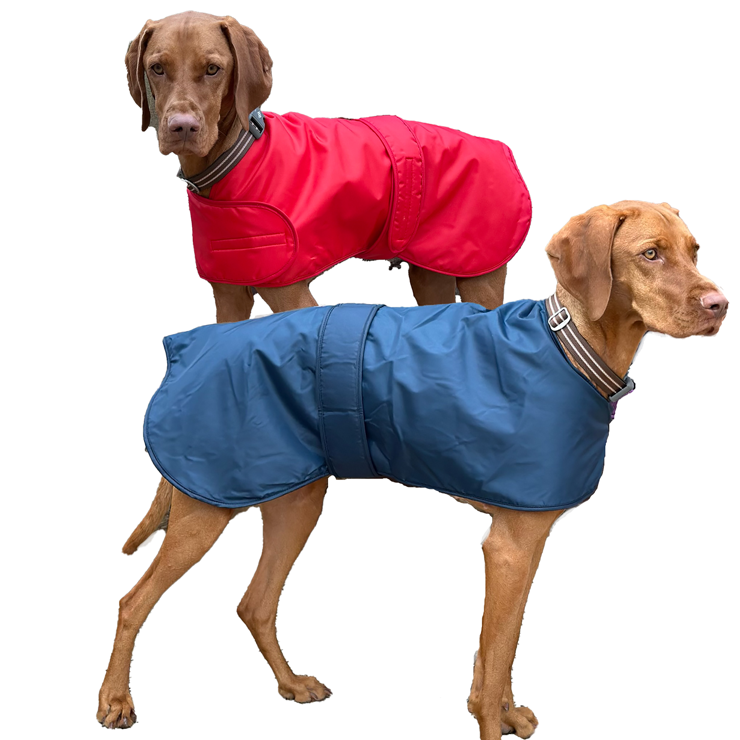 Waterproof Furlined All Weather Dog Coat Made In England